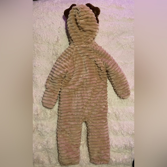 Koala Baby - Picture 4 of 6